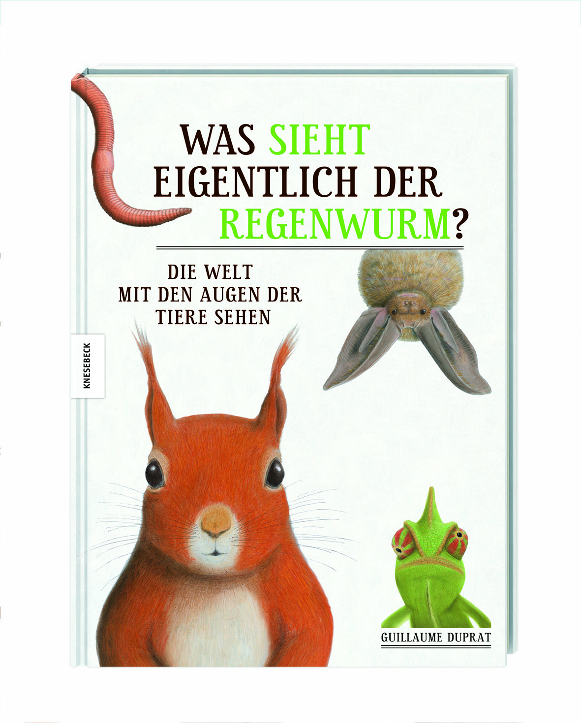 bild_1.jpg