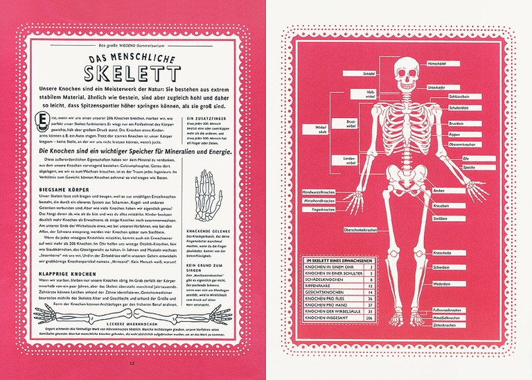 skelett-g.jpg skelett-g.jpg
