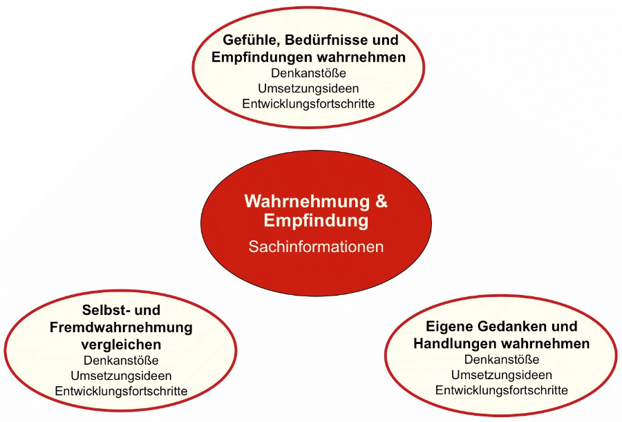 wahrnehmung.gif